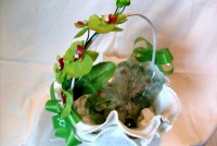 /album/galeria-de-fotos/oaaaao-seqpuavwbyxgrwjluqa4oxanxwlpil8mm-py-94peqmti8s7os4niahrl9jbrnlw-ndxvyi-blbxnnc0gam1t1upvoenatgtoj50iysobimourirys-jpg/