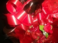 /album/galeria-de-fotos/ogaaafufwfbx8tmmgspa48okbsxhmz8-417etzhoxmd4dopmmfcktehmjbjwndtq2vc5qbyzhuoqrkd1kvgqkmswmcsam1t1ubbiz7npctd3-hzqaguytgrsrx5e-jpg/