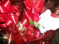 /album/galeria-de-fotos/ogaaajc2ywm9e68lczx8znv-8gr6-hrrjvxeqw4fnoc3zsdryvnryvet-3mpqfqmcnjzvguzmiwug2trceiuv0cmuqam1t1ujid1bu9z5wtocq9mhjus46cbwsp-jpg/