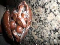 /album/galeria-de-fotos/cora%c3%a7%c3%a3o8-jpg/