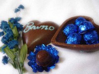 /album/galeria-de-fotos/cora%c3%a7%c3%a3o-jpg/